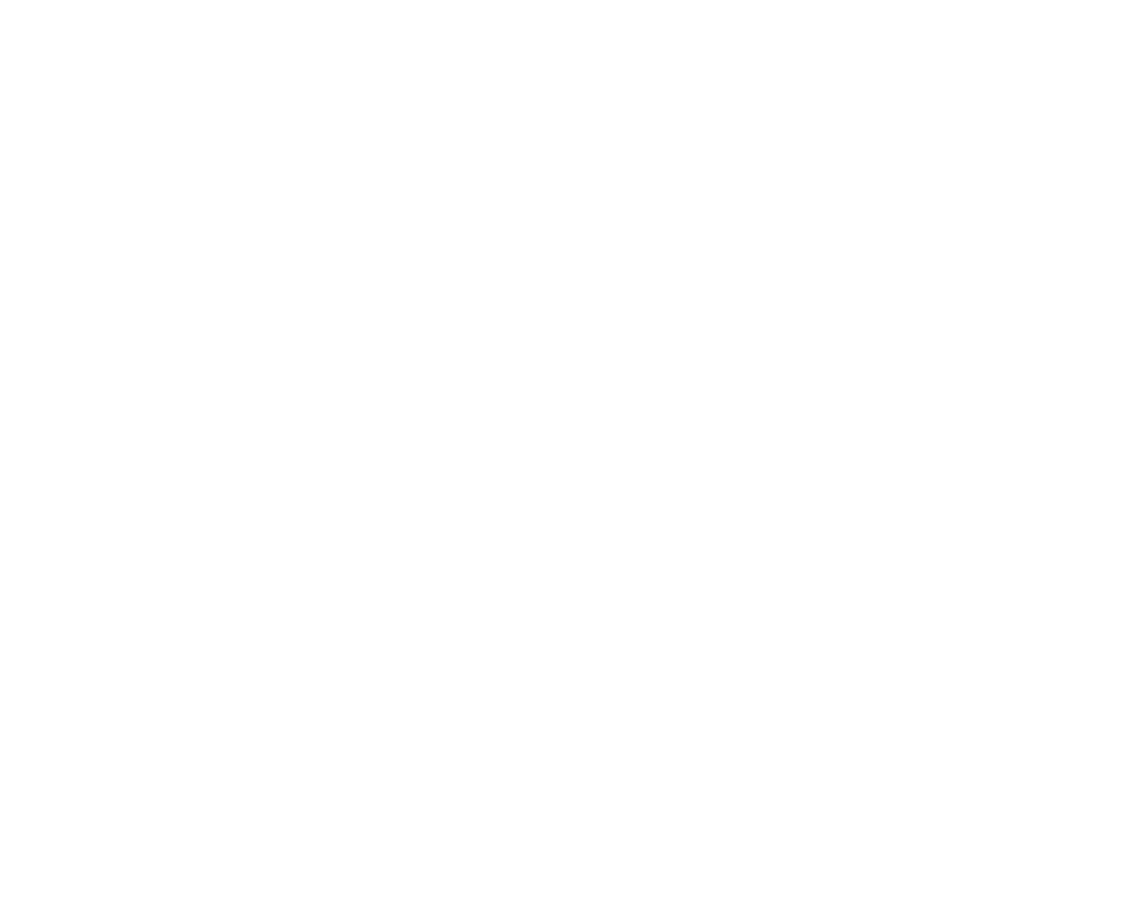 logo-04