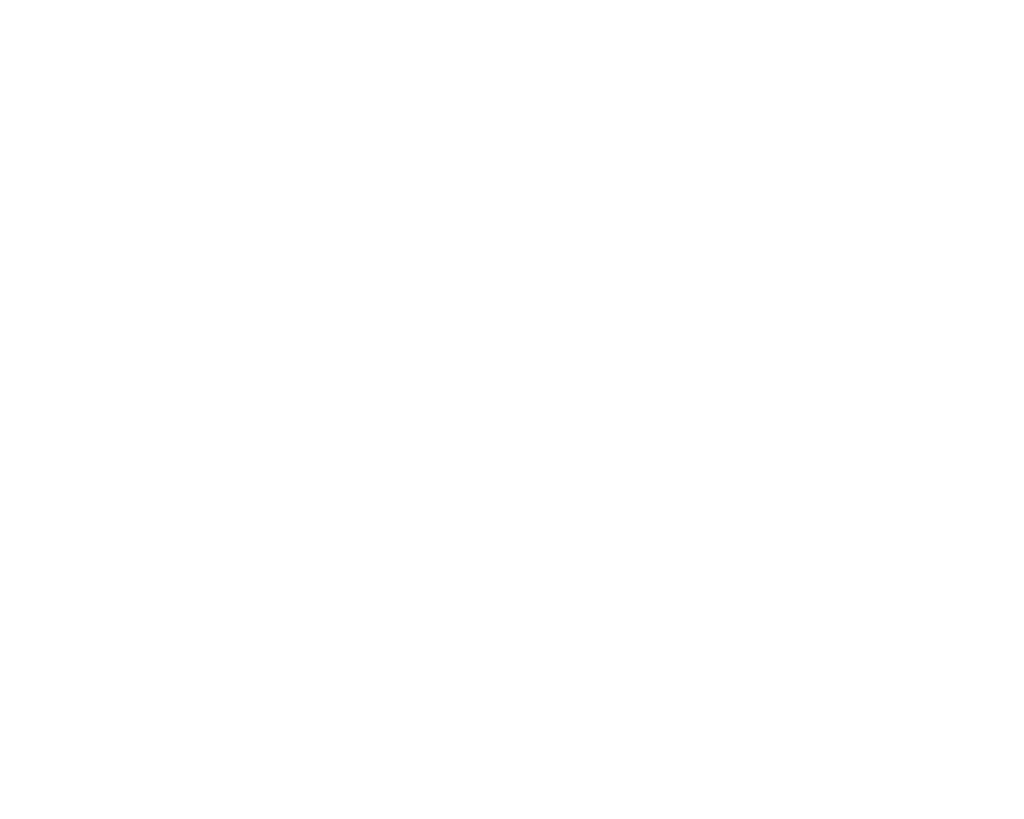 logo-11
